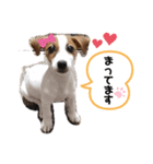 ラスクの日常❤︎2（個別スタンプ：2）