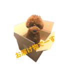 フワッフワのモグちゃん（個別スタンプ：8）