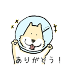 エリザベスカラーわんこ（リメイク）（個別スタンプ：3）