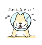 エリザベスカラーわんこ（リメイク）（個別スタンプ：4）