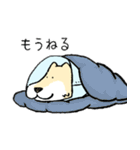 エリザベスカラーわんこ（リメイク）（個別スタンプ：7）
