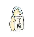 エリザベスカラーわんこ（リメイク）（個別スタンプ：8）
