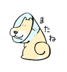 エリザベスカラーわんこ（リメイク）（個別スタンプ：9）