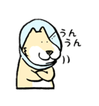 エリザベスカラーわんこ（リメイク）（個別スタンプ：11）