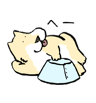 エリザベスカラーわんこ（リメイク）（個別スタンプ：13）