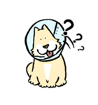 エリザベスカラーわんこ（リメイク）（個別スタンプ：18）