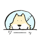 エリザベスカラーわんこ（リメイク）（個別スタンプ：22）