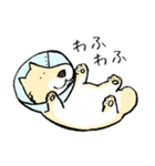 エリザベスカラーわんこ（リメイク）（個別スタンプ：26）