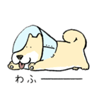 エリザベスカラーわんこ（リメイク）（個別スタンプ：31）