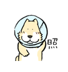 エリザベスカラーわんこ（リメイク）（個別スタンプ：33）
