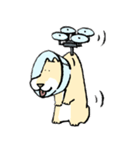 エリザベスカラーわんこ（リメイク）（個別スタンプ：36）