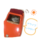 ジャンガリアンハムスターのつくも♂（個別スタンプ：1）