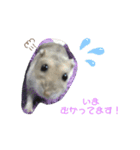 ジャンガリアンハムスターのつくも♂（個別スタンプ：6）