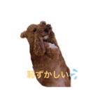 くぅの一言（個別スタンプ：3）