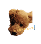 くぅの一言（個別スタンプ：5）