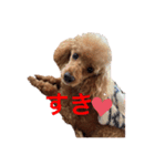 くぅの一言（個別スタンプ：7）