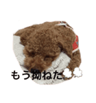 くぅの一言（個別スタンプ：8）