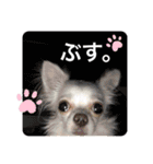 みるくの日々。（個別スタンプ：20）