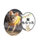 みるくの日々。（個別スタンプ：29）