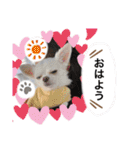 みるくの日々。（個別スタンプ：30）