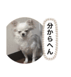 みるくの日々。（個別スタンプ：31）