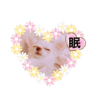 みるくの日々。（個別スタンプ：32）