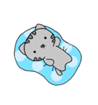 ねこのコン。5 〜くまったくんと遊園地〜（個別スタンプ：30）