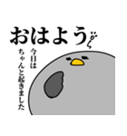 鳩の日常スタンプ（個別スタンプ：1）