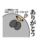 鳩の日常スタンプ（個別スタンプ：6）