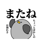 鳩の日常スタンプ（個別スタンプ：11）
