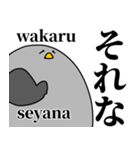 鳩の日常スタンプ（個別スタンプ：12）