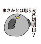 鳩の日常スタンプ（個別スタンプ：18）
