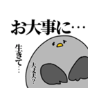 鳩の日常スタンプ（個別スタンプ：21）