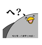 鳩の日常スタンプ（個別スタンプ：25）