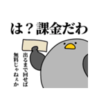 鳩の日常スタンプ（個別スタンプ：39）