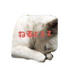 元気すぎたひなちゃんスタンプ（個別スタンプ：5）