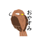 外来種ガビチョウ・スタンプ（個別スタンプ：4）