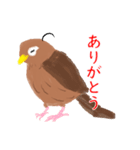 外来種ガビチョウ・スタンプ（個別スタンプ：5）