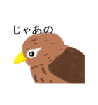 外来種ガビチョウ・スタンプ（個別スタンプ：8）