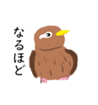外来種ガビチョウ・スタンプ（個別スタンプ：11）