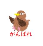 外来種ガビチョウ・スタンプ（個別スタンプ：12）