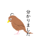 外来種ガビチョウ・スタンプ（個別スタンプ：13）