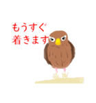 外来種ガビチョウ・スタンプ（個別スタンプ：16）