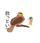 外来種ガビチョウ・スタンプ（個別スタンプ：19）