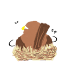 外来種ガビチョウ・スタンプ（個別スタンプ：24）