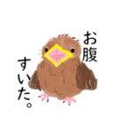 外来種ガビチョウ・スタンプ（個別スタンプ：29）
