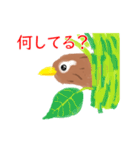 外来種ガビチョウ・スタンプ（個別スタンプ：30）
