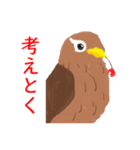 外来種ガビチョウ・スタンプ（個別スタンプ：31）