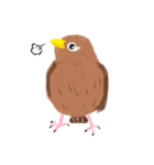 外来種ガビチョウ・スタンプ（個別スタンプ：36）