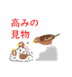 外来種ガビチョウ・スタンプ（個別スタンプ：37）